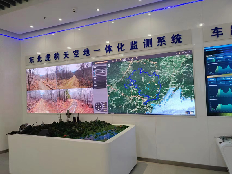 吉视传媒展厅东北虎豹园区.jpg